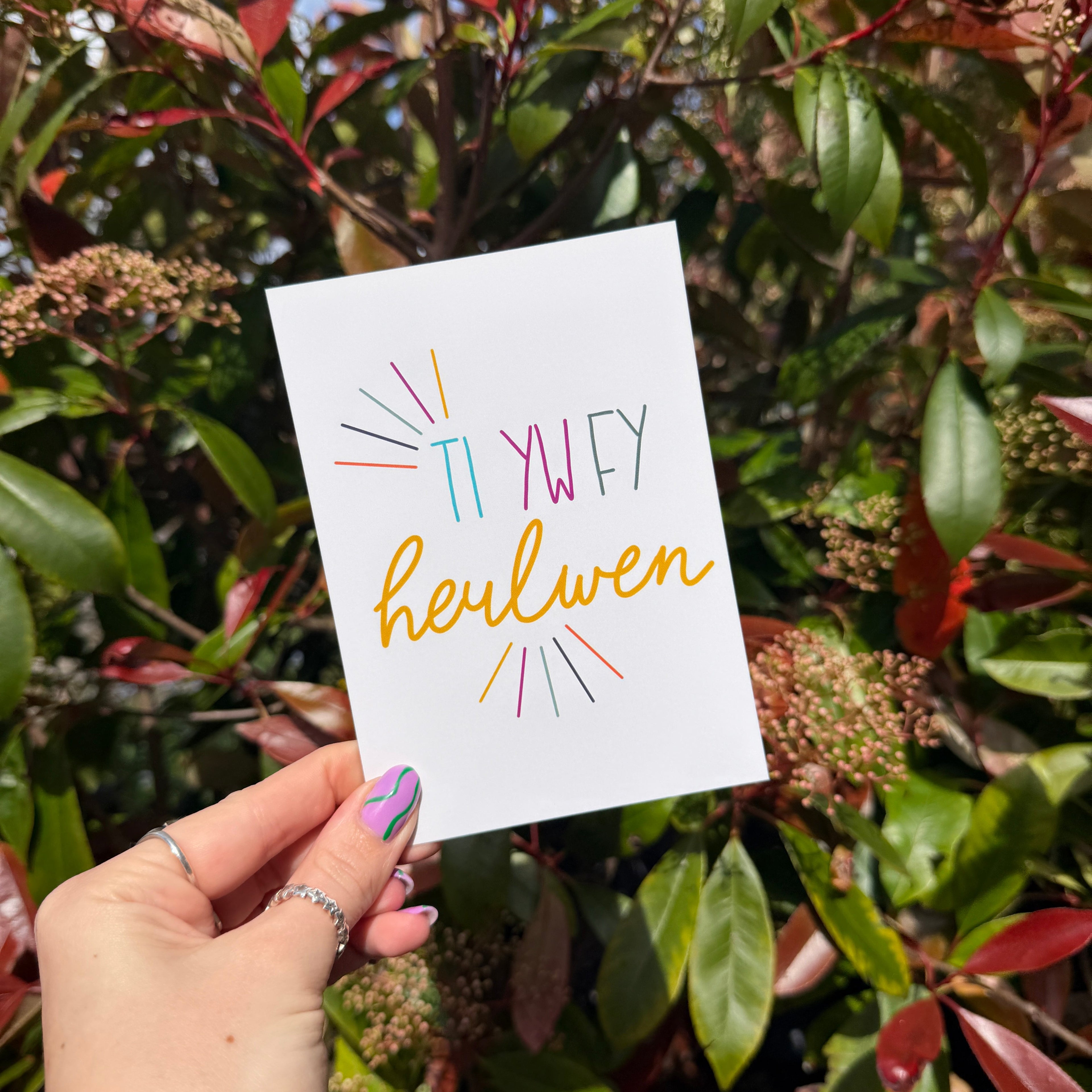 Ti Yw Fy Heulwen - A6 Postcard - Welsh