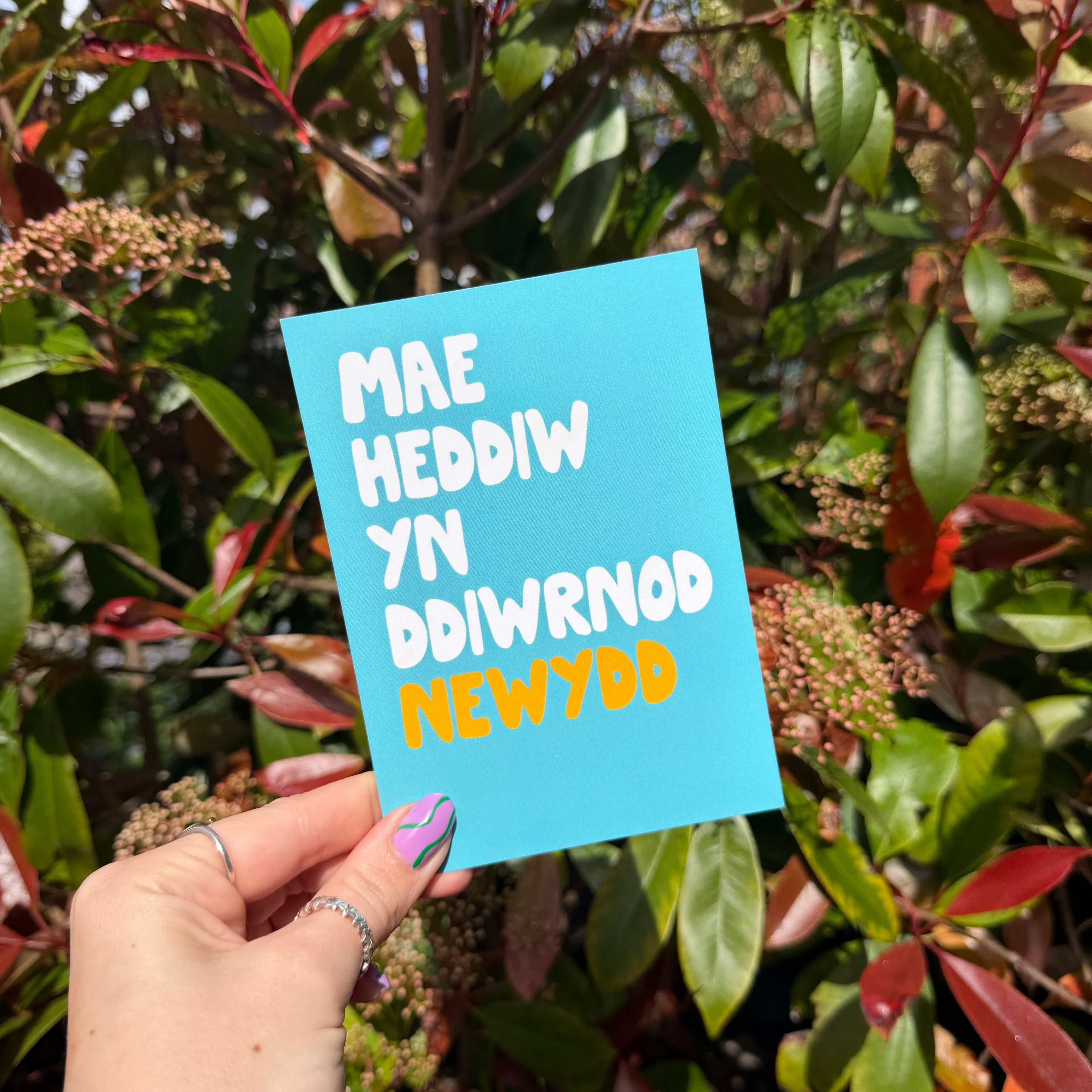 Mae Heddiw yn Ddiwrnod Newydd - A6 Postcard - Welsh